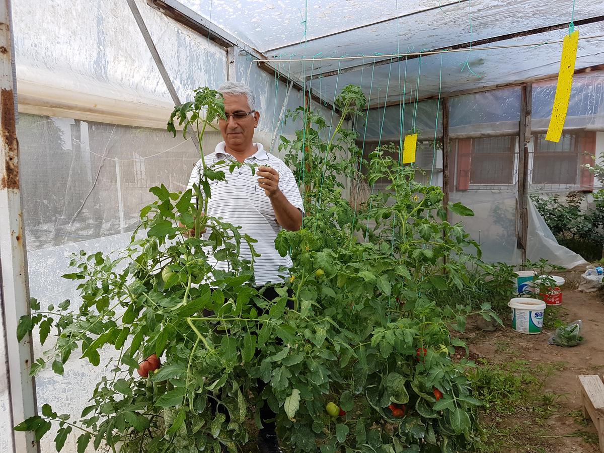 טקירובה Aygun Pension מראה חיצוני תמונה